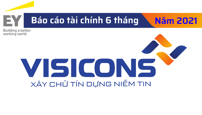 Báo cáo tài chính giữa niên độ đã được soát xét năm 2021