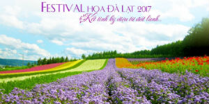 NHA TRANG - ĐÀ LẠT - FESTIVAL HOA ĐÀ LẠT 2017