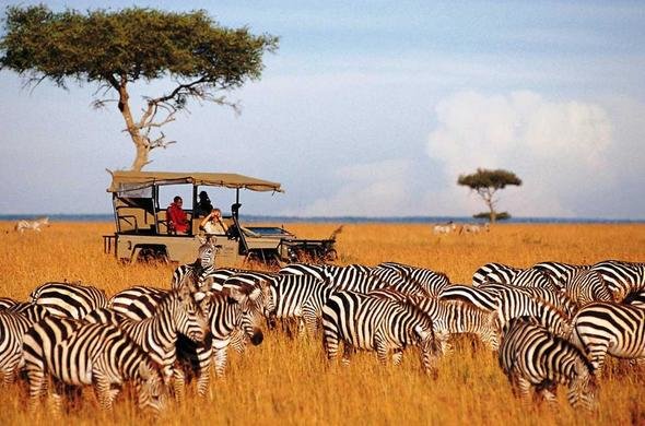 Kenya-Tanzania Thiên đường hoang dã
