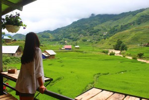 Tour 3 Ngày 2 Đêm: Sa Pa - Cát Cát - Hàm Rồng - Fanxipan - Chợ Bắc Hà